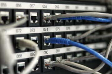 Ethernet cables plugged into a rack-mounted switch